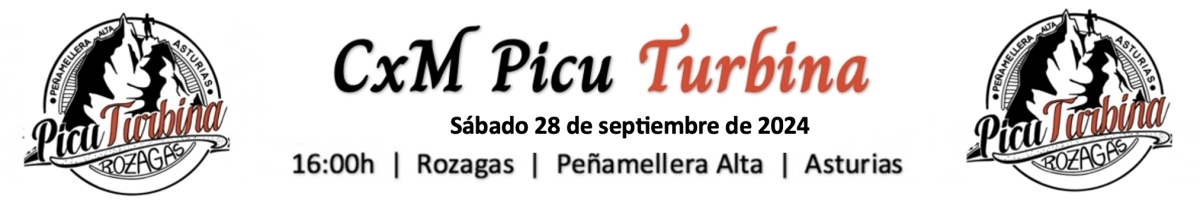 Regulation  - CXM PICU TURBINA 2024