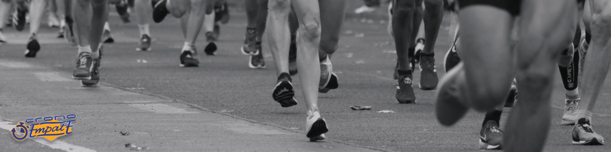 VOLUNTARIOS  - III MEDIA MARATON VERDE DE OVIEDO  2022